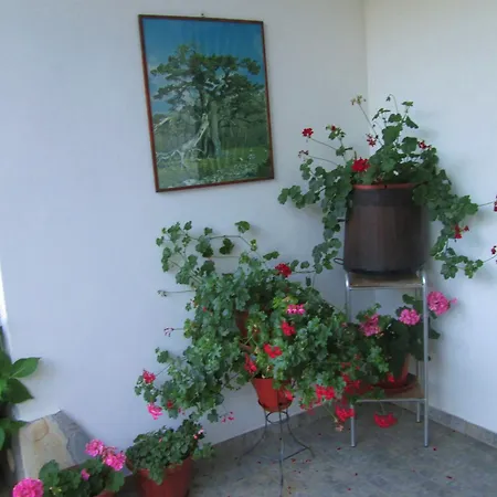 Sole Del Pollino Rotonda