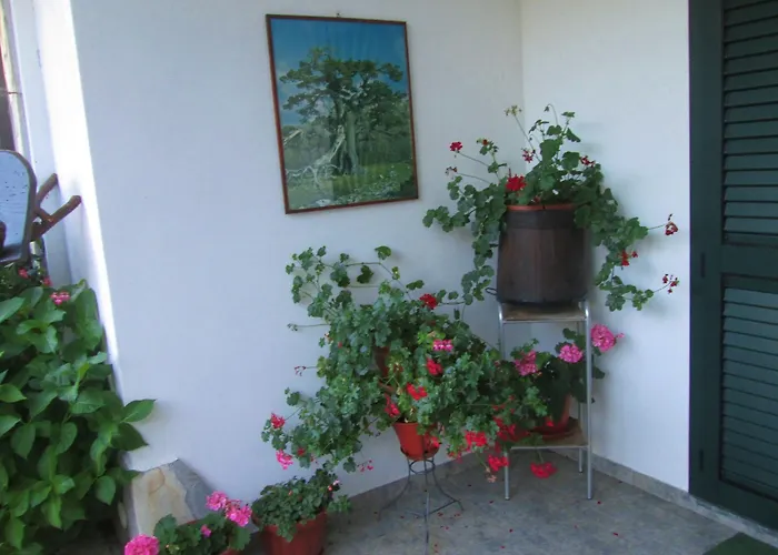 Sole Del Pollino Rotonda